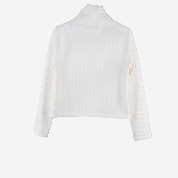 Babaton Thick Ribbed Mockneck Shirt/Sweater Aritzia - Picture 3 of 5